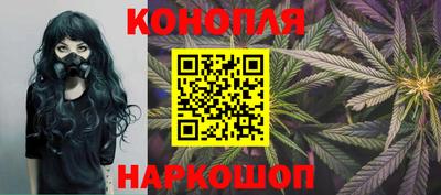 прущие крисы Изобильный